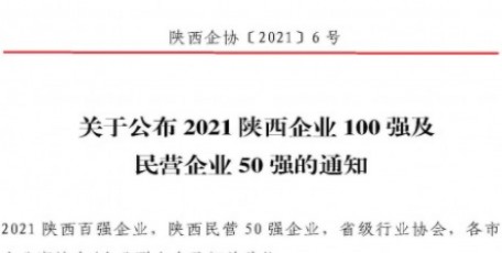 2021陜西100強企業(yè)、陜西民營50強企業(yè)及2012-2021連續(xù)十年入圍陜西100強企業(yè)名單