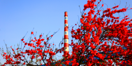 陜焦公司黨委書記、董事長姚繼峰：全力打造基業(yè)長青的陜焦基因