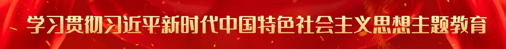 學(xué)習(xí)貫徹習(xí)近平新時(shí)代中國(guó)特色社會(huì)主義思想主題教育